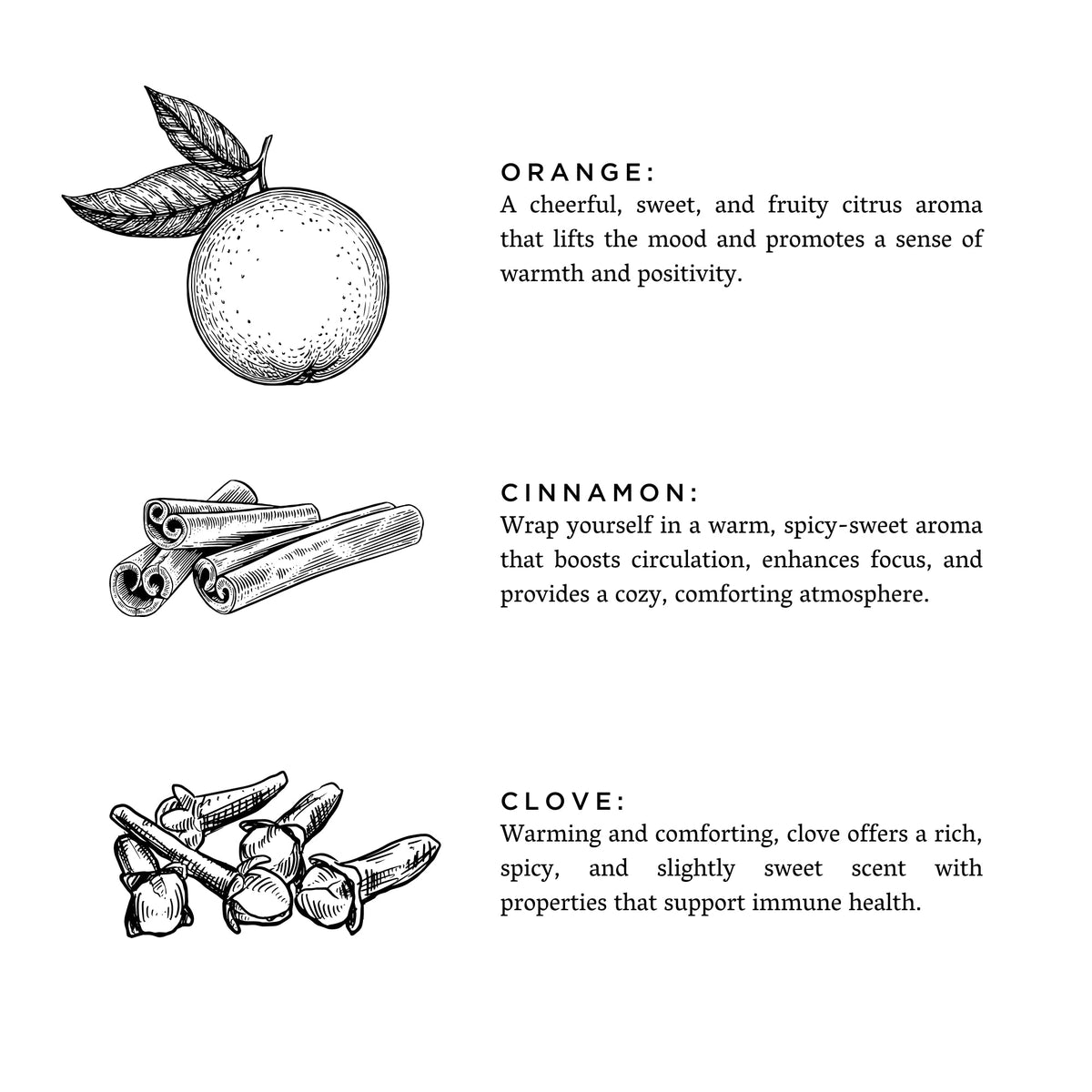 Illustrations of an orange, cinnamon sticks and cloves with descriptions of each scent note