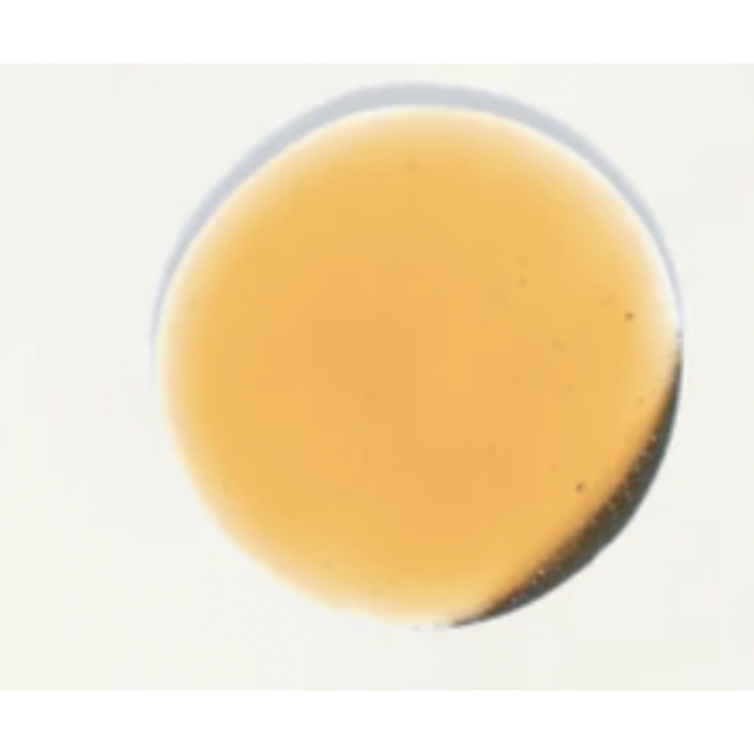 Close-up of a drop of golden serum on a white background